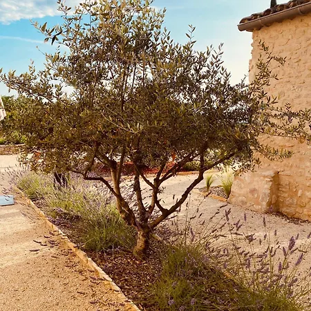 La Bastide Des Oliviers Provence - Aux Baronnies Holiday home *