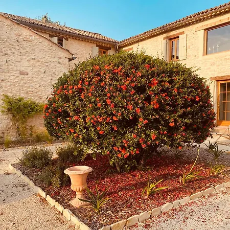 Holiday home La Bastide Des Oliviers Provence - Aux Baronnies