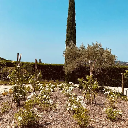 Holiday home La Bastide Des Oliviers Provence - Aux Baronnies *