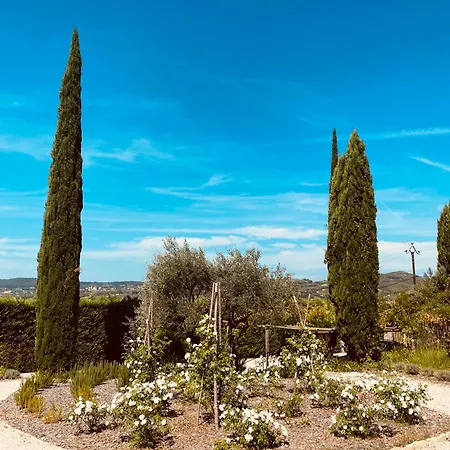 La Bastide Des Oliviers Provence - Aux Baronnies